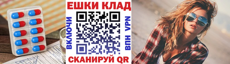Ecstasy Punisher  Купить где  Щучье 