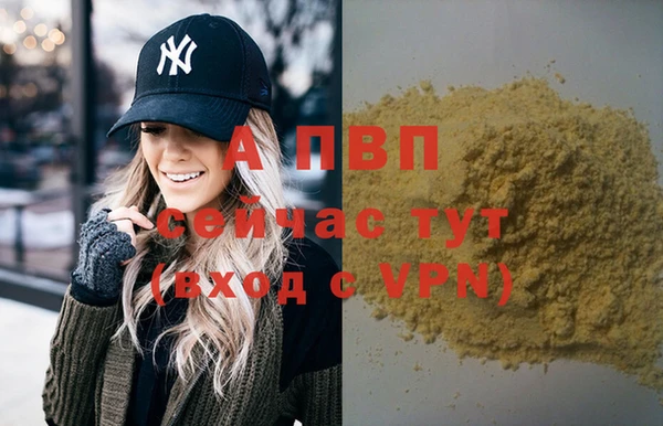 дмт Магас