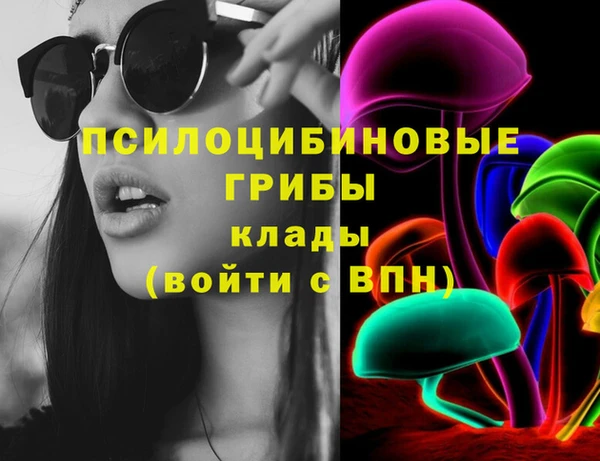 дмт Медногорск