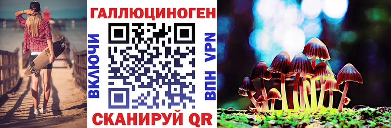 Купить закладки  Щучье  Псилоцибиновые грибы Psilocybine cubensis 
